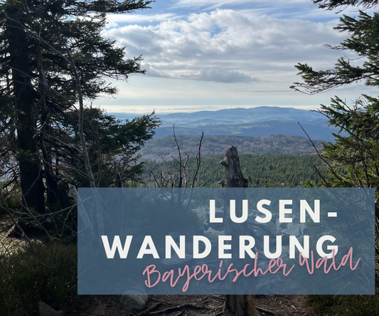 MYSTISCHE WANDERUNG IM BAYERISCHEN WALD | Von der Martinsklause zum Lusengipfel