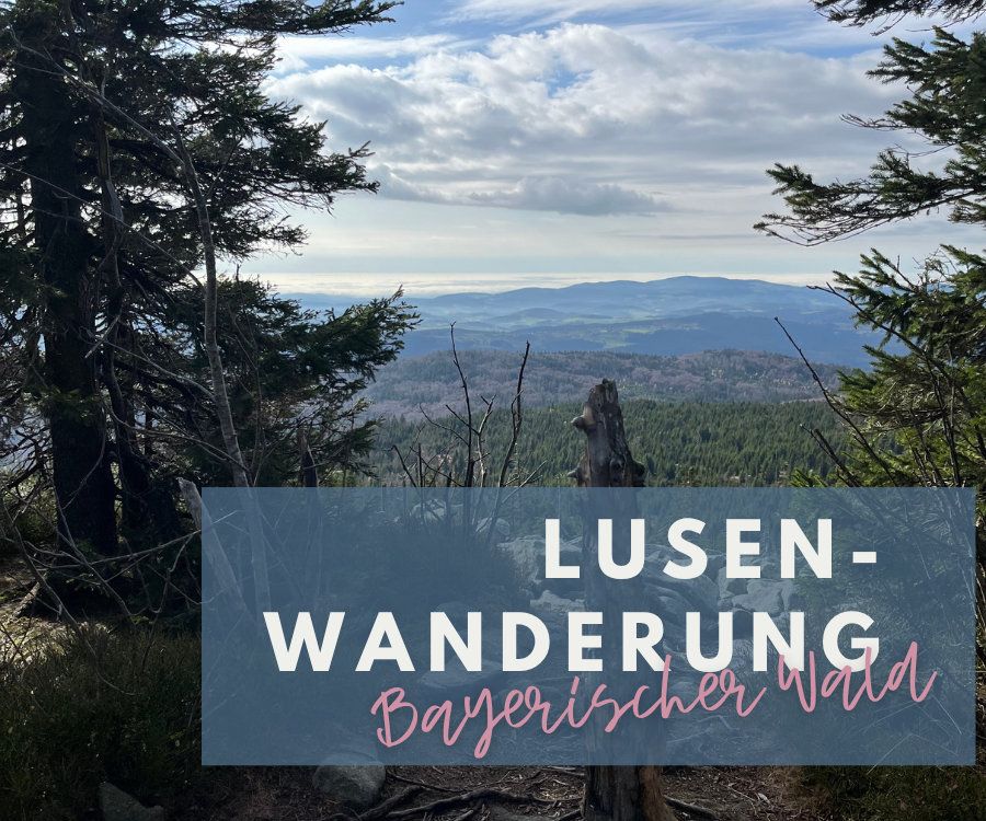 MYSTISCHE WANDERUNG IM BAYERISCHEN WALD | Von der Martinsklause zum Lusengipfel
