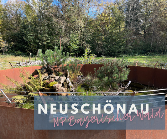 NEUSCHÖNAU | Tierfreigehege & Baumwipfelweg  – Ein Natur-Abenteuer im Bayerischen Wald